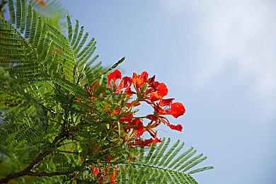 提升体验 《巫师3：狂猎》长阴影与事件任务MOD发布